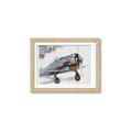 Picture of Flying in colour _GroupedProduct_Rectangle_Landscape_Framed_Matted_