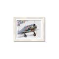 Picture of Flying in colour _GroupedProduct_Rectangle_Landscape_Framed_Matted_