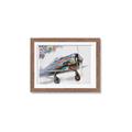 Picture of Flying in colour _GroupedProduct_Rectangle_Landscape_Framed_Matted_