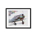 Picture of Flying in colour _GroupedProduct_Rectangle_Landscape_Framed_Matted_