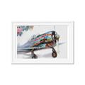 Picture of Flying in colour _GroupedProduct_Rectangle_Landscape_Framed_Matted_