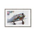 Picture of Flying in colour _GroupedProduct_Rectangle_Landscape_Framed_Matted_