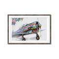 Picture of Flying in colour _GroupedProduct_Rectangle_Landscape_Framed_Matted_
