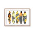 Picture of Colorful Surfboards _GroupedProduct_Rectangle_Landscape_Framed_Matted_