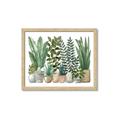 Picture of Plant Party _GroupedProduct_Rectangle_Landscape_Framed_Matted_