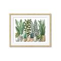 Picture of Plant Party _GroupedProduct_Rectangle_Landscape_Framed_Matted_