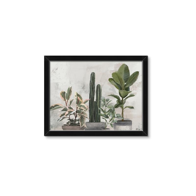 Picture of Plant Group _GroupedProduct_Rectangle_Landscape_Framed_Matted_