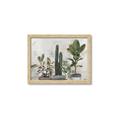 Picture of Plant Group _GroupedProduct_Rectangle_Landscape_Framed_Matted_