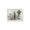 Picture of Plant Group _GroupedProduct_Rectangle_Landscape_Framed_Matted_