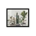 Picture of Plant Group _GroupedProduct_Rectangle_Landscape_Framed_Matted_