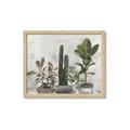 Picture of Plant Group _GroupedProduct_Rectangle_Landscape_Framed_Matted_