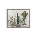 Picture of Plant Group _GroupedProduct_Rectangle_Landscape_Framed_Matted_