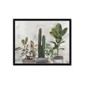 Picture of Plant Group _GroupedProduct_Rectangle_Landscape_Framed_Matted_