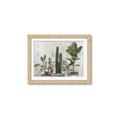 Picture of Plant Group _GroupedProduct_Rectangle_Landscape_Framed_Matted_