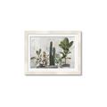 Picture of Plant Group _GroupedProduct_Rectangle_Landscape_Framed_Matted_