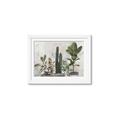 Picture of Plant Group _GroupedProduct_Rectangle_Landscape_Framed_Matted_