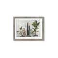 Picture of Plant Group _GroupedProduct_Rectangle_Landscape_Framed_Matted_