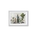 Picture of Plant Group _GroupedProduct_Rectangle_Landscape_Framed_Matted_