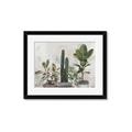 Picture of Plant Group _GroupedProduct_Rectangle_Landscape_Framed_Matted_