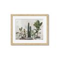 Picture of Plant Group _GroupedProduct_Rectangle_Landscape_Framed_Matted_