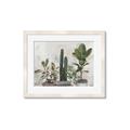Picture of Plant Group _GroupedProduct_Rectangle_Landscape_Framed_Matted_