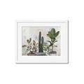 Picture of Plant Group _GroupedProduct_Rectangle_Landscape_Framed_Matted_