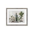 Picture of Plant Group _GroupedProduct_Rectangle_Landscape_Framed_Matted_