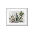 Picture of Plant Group _GroupedProduct_Rectangle_Landscape_Framed_Matted_