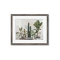 Picture of Plant Group _GroupedProduct_Rectangle_Landscape_Framed_Matted_