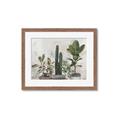 Picture of Plant Group _GroupedProduct_Rectangle_Landscape_Framed_Matted_