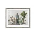 Picture of Plant Group _GroupedProduct_Rectangle_Landscape_Framed_Matted_