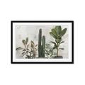 Picture of Plant Group _GroupedProduct_Rectangle_Landscape_Framed_Matted_