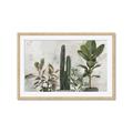 Picture of Plant Group _GroupedProduct_Rectangle_Landscape_Framed_Matted_