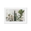 Picture of Plant Group _GroupedProduct_Rectangle_Landscape_Framed_Matted_