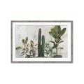 Picture of Plant Group _GroupedProduct_Rectangle_Landscape_Framed_Matted_