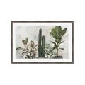Picture of Plant Group _GroupedProduct_Rectangle_Landscape_Framed_Matted_