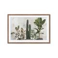 Picture of Plant Group _GroupedProduct_Rectangle_Landscape_Framed_Matted_