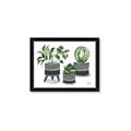 Picture of Plants in Grey vases _GroupedProduct_Rectangle_Landscape_Framed_Matted_