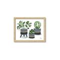 Picture of Plants in Grey vases _GroupedProduct_Rectangle_Landscape_Framed_Matted_