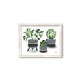 Picture of Plants in Grey vases _GroupedProduct_Rectangle_Landscape_Framed_Matted_