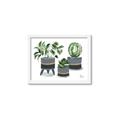 Picture of Plants in Grey vases _GroupedProduct_Rectangle_Landscape_Framed_Matted_