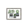 Picture of Plants in Grey vases _GroupedProduct_Rectangle_Landscape_Framed_Matted_