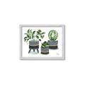 Picture of Plants in Grey vases _GroupedProduct_Rectangle_Landscape_Framed_Matted_