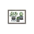 Picture of Plants in Grey vases _GroupedProduct_Rectangle_Landscape_Framed_Matted_