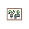 Picture of Plants in Grey vases _GroupedProduct_Rectangle_Landscape_Framed_Matted_