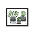 Picture of Plants in Grey vases _GroupedProduct_Rectangle_Landscape_Framed_Matted_