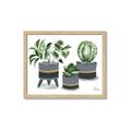 Picture of Plants in Grey vases _GroupedProduct_Rectangle_Landscape_Framed_Matted_