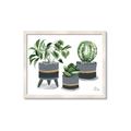 Picture of Plants in Grey vases _GroupedProduct_Rectangle_Landscape_Framed_Matted_