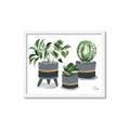 Picture of Plants in Grey vases _GroupedProduct_Rectangle_Landscape_Framed_Matted_