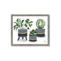 Picture of Plants in Grey vases _GroupedProduct_Rectangle_Landscape_Framed_Matted_